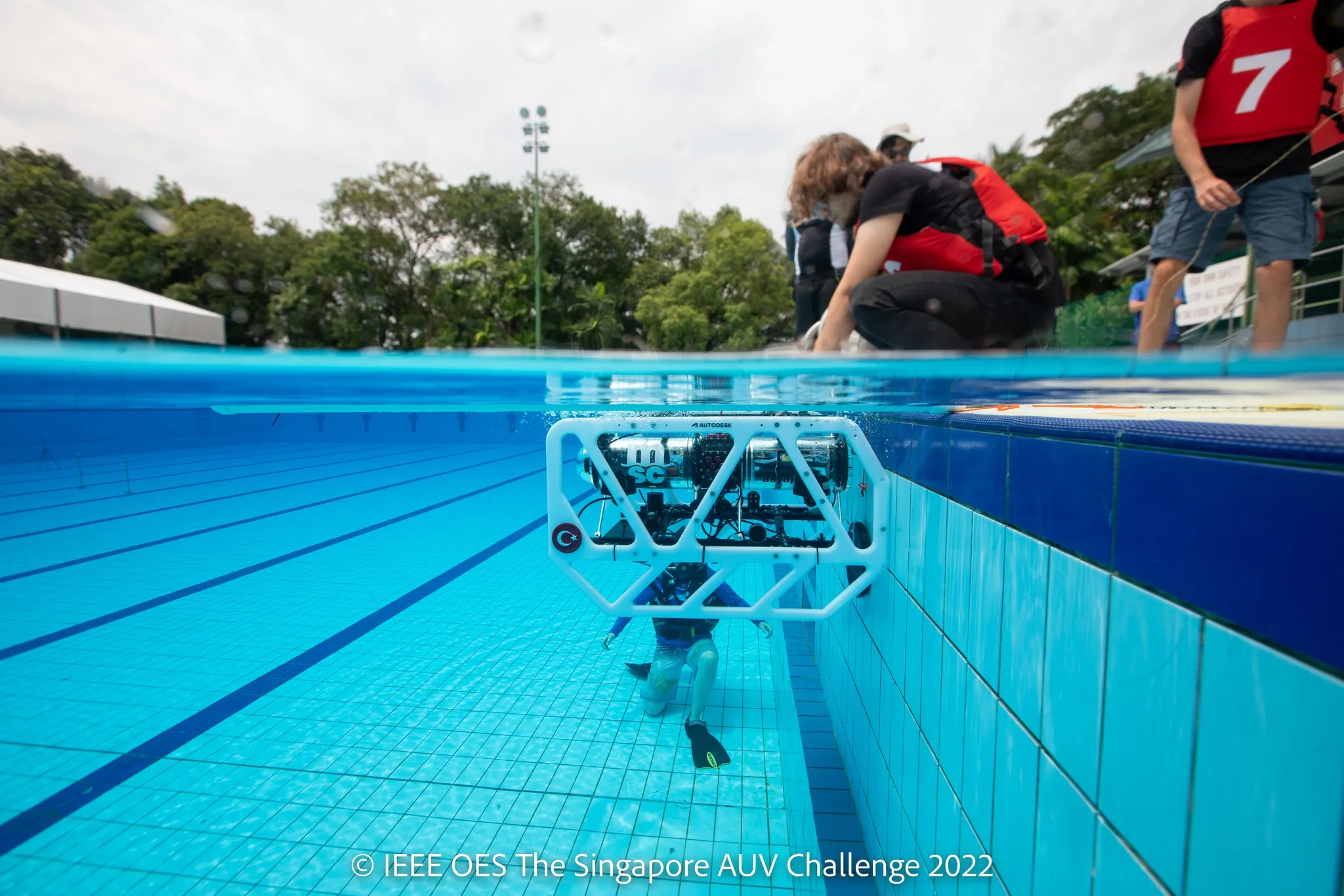 Dünya Şampiyonluğu 