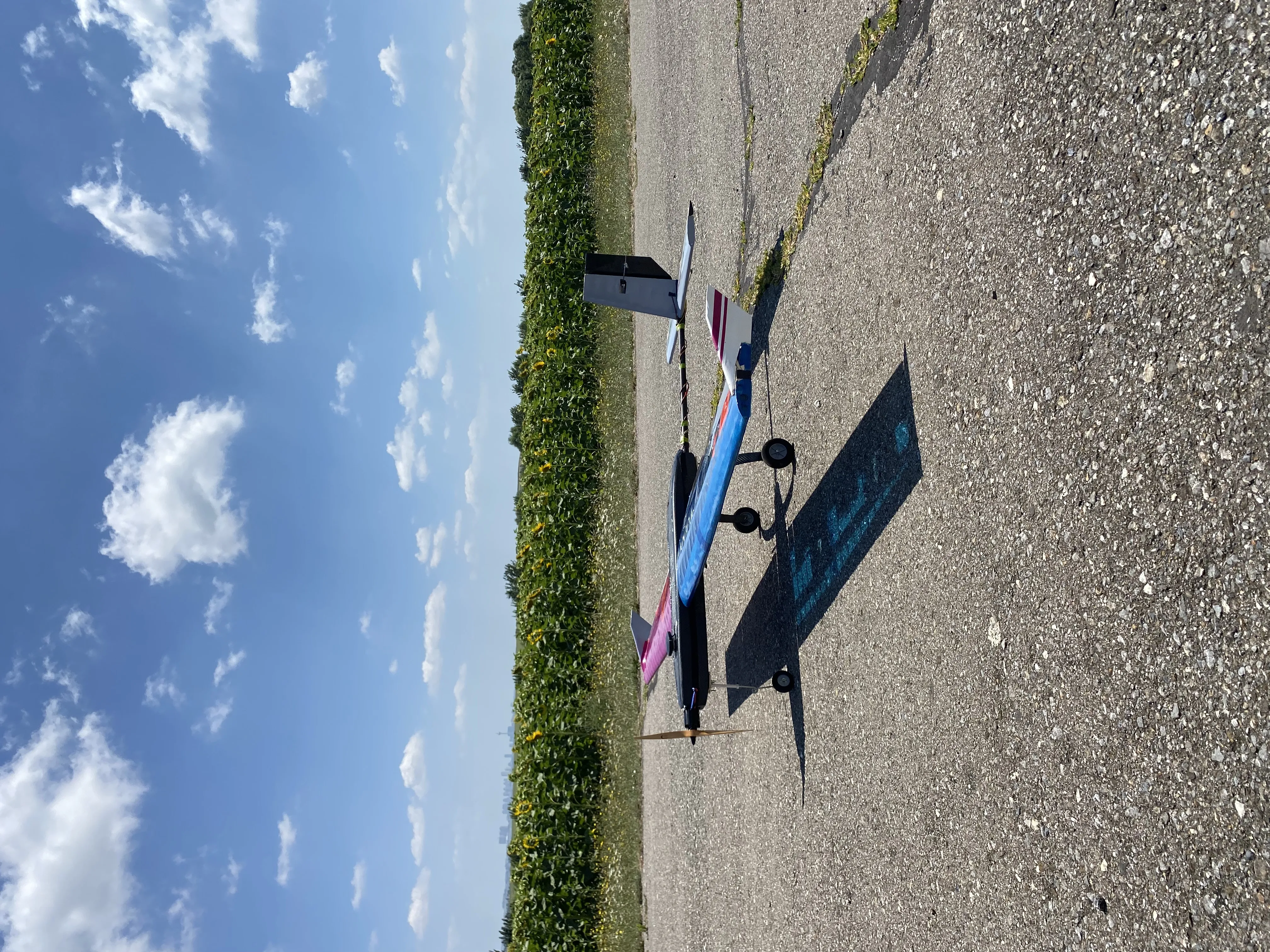 Etkinlik fotoğrafı